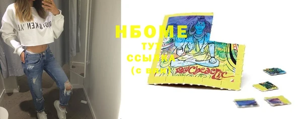 стаф Новозыбков