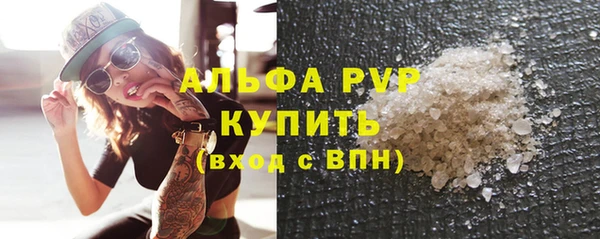 стаф Новозыбков