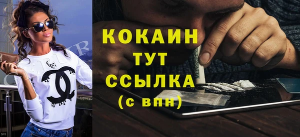 стаф Новозыбков