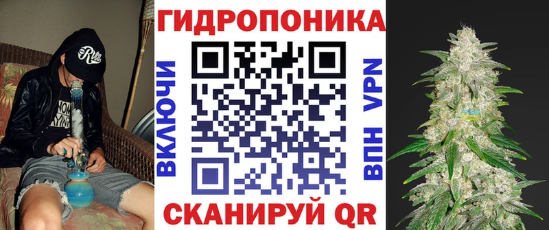 Купить  Псков  Каннабис Amnesia 